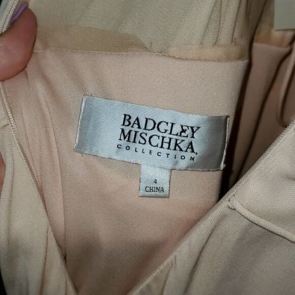 Badgley Mischka Collection Embellished Sheer Blush Maxi Event Lined Sz. 4 Dress - Picture 8 of 15